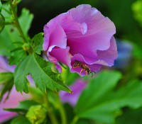 /album/portfolio/dsc-0089-jpg/