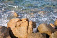/album/varie/dsc-0222-jpg/